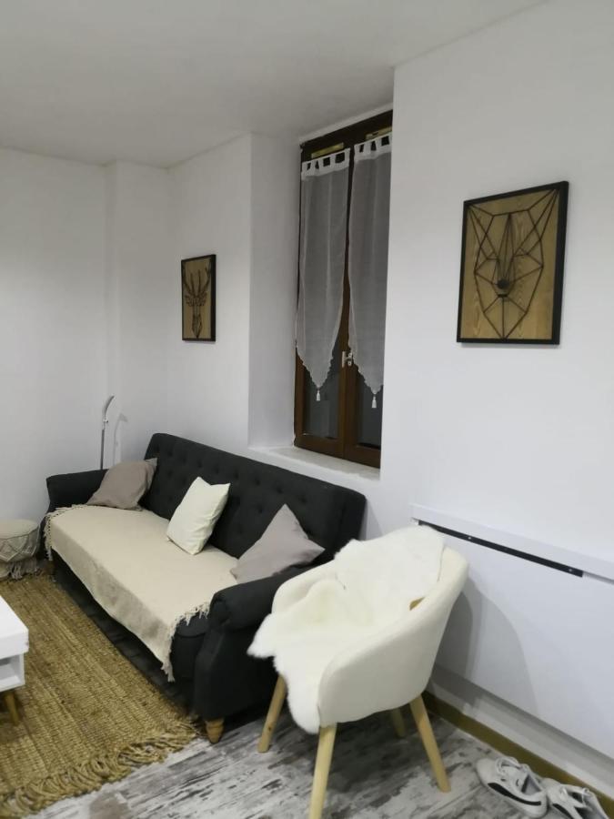 Studio Zen Et Cosy, Neuf En Pleine Ville Saint-Claude Exteriör bild