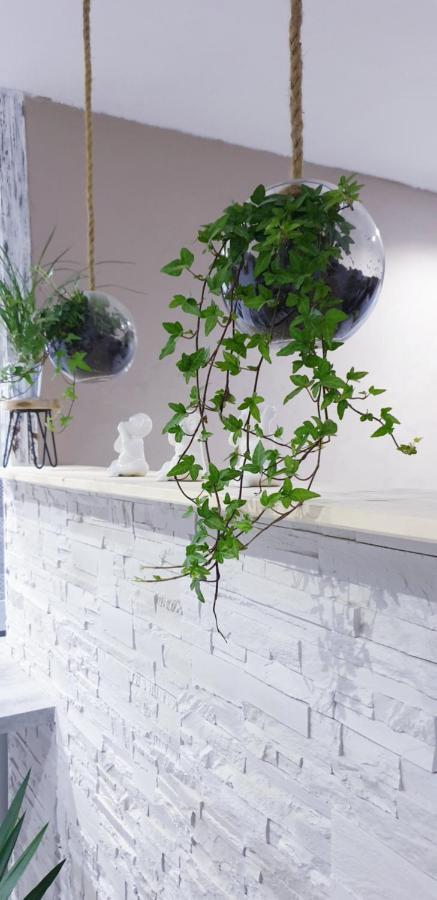 Studio Zen Et Cosy, Neuf En Pleine Ville Saint-Claude Exteriör bild
